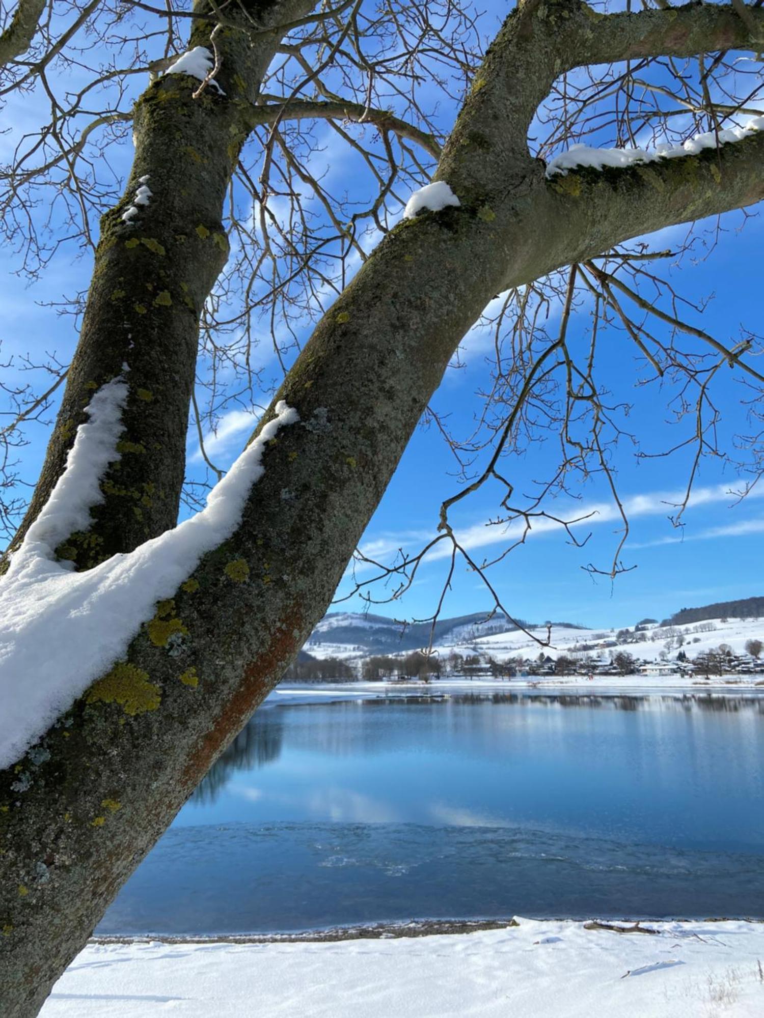 Fewo Panorama Diemelsee Exterior foto