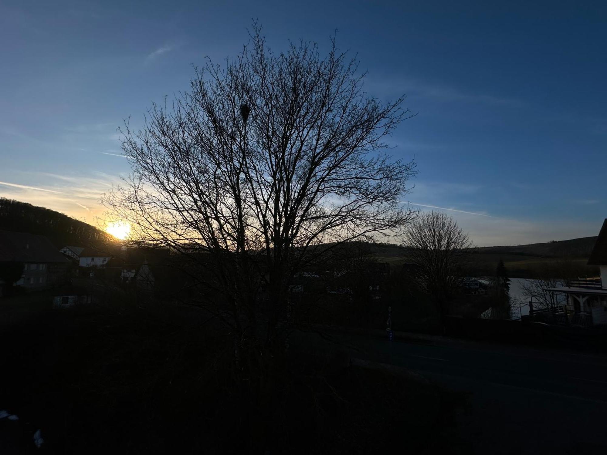 Fewo Panorama Diemelsee Exterior foto